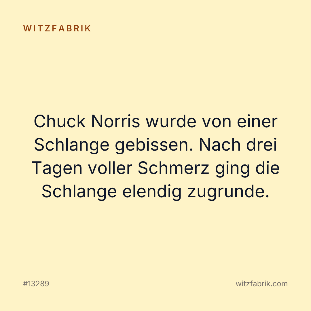 Witzfabrik-Bild zu Witz #13289