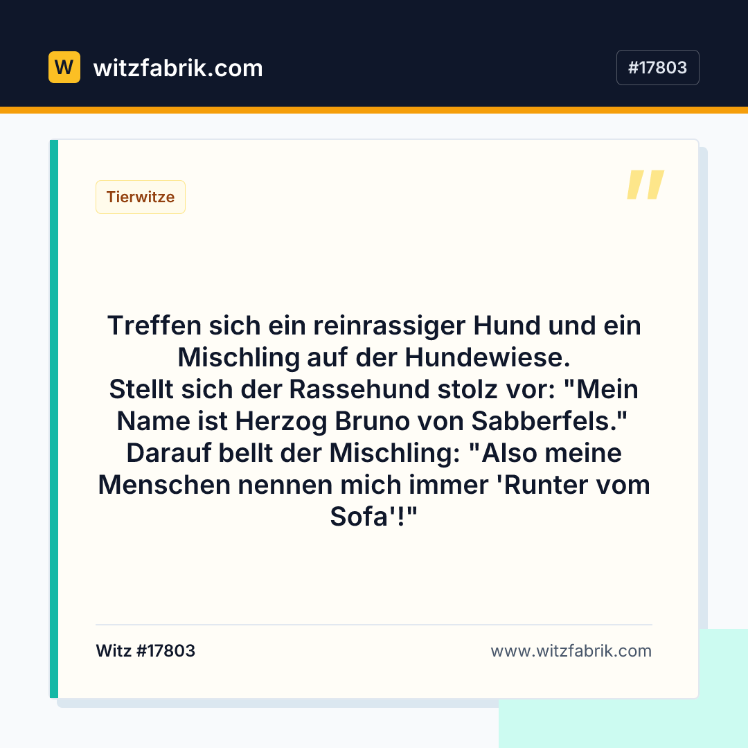 Witzfabrik-Bild zu Witz #17803