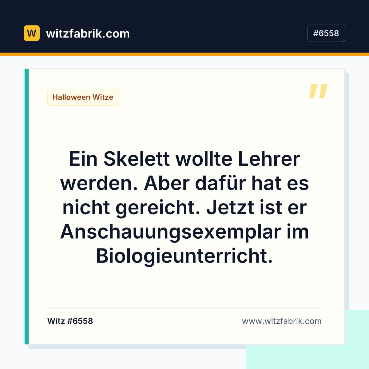 Ein Skelett wollte Lehrer werden. Aber dafür hat es nicht gereicht. Jetzt ist er Anschauungsexemplar im Biologieunterricht.