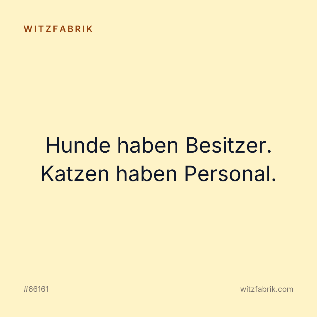 Witzfabrik-Bild zu Witz #66161