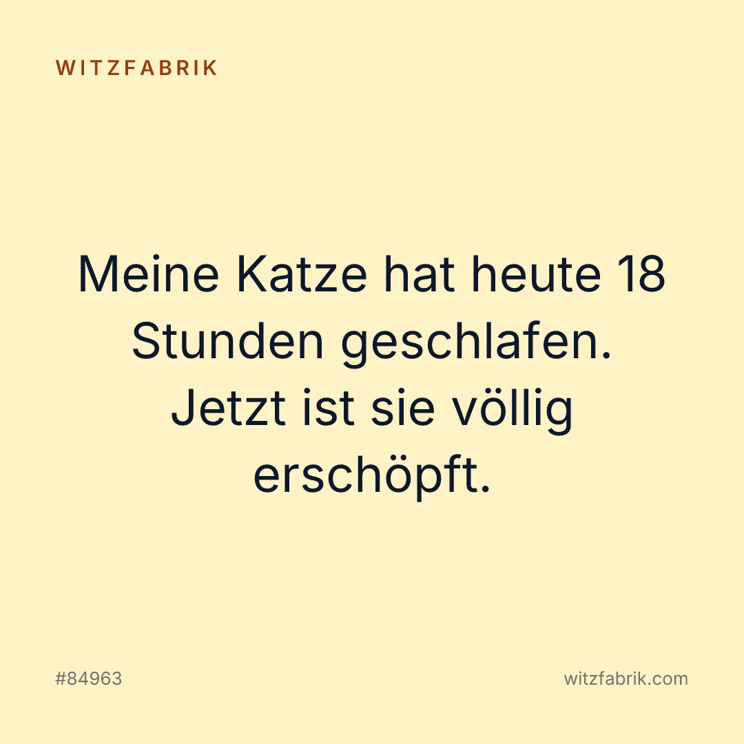 Witzfabrik-Bild zu Witz #84963